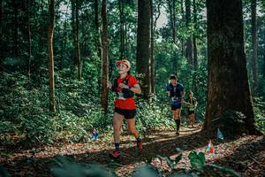 BIB: 
                            <button type="button" onclick="openModal(26131650)" class="btn btn-primary btn-sm float-right btn-popup" data-toggle="modal" data-target=".modal-high-quality">
                        <i class="fas fa-shopping-cart"></i> Add to Cart
                    </button>
                                            <button type="button" onclick="isThisMe(26131650, true)" class="btn btn-success btn-sm float-right btn-popup btn-isme hidden" data-toggle="tooltip" data-placement="bottom" title="นี่คือรูปของคุณใช่ไหม คลิกที่นี่เพื่อเอาเข้าอัลบั้ม">
                        <i class="fas fa-plus"></i> Add to album
                    </button>
                    <button type="button" onclick="isThisMe(26131650, false)" class="btn btn-warning btn-sm float-right btn-popup btn-isnotme hidden">
                        <i class="fas fa-ban"></i> Remove from album
                    </button>